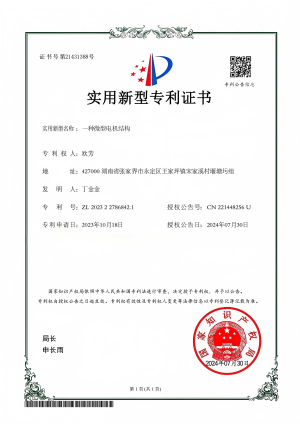 一種微型電機(jī)結(jié)構(gòu).png